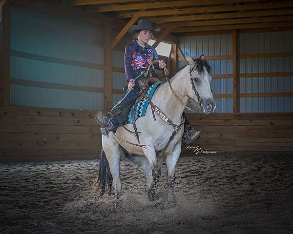 ridden-western-draft-horse
