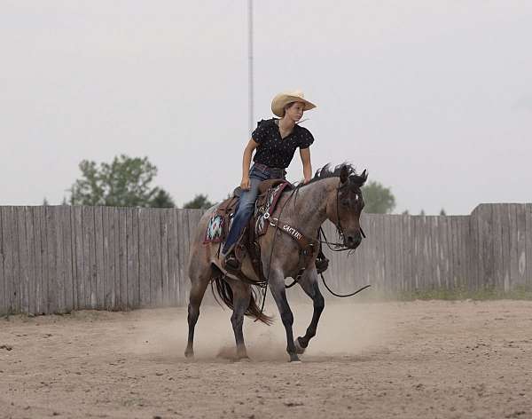 ranch-versatility-quarter-horse