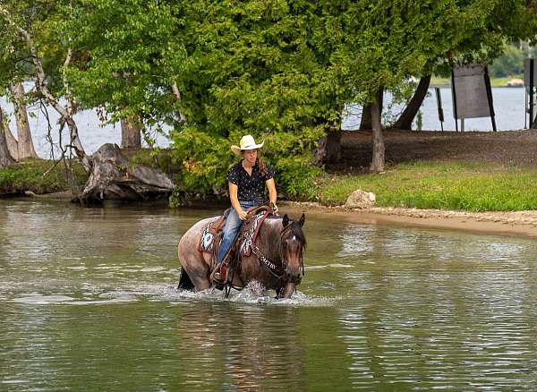 ranch-quarter-horse