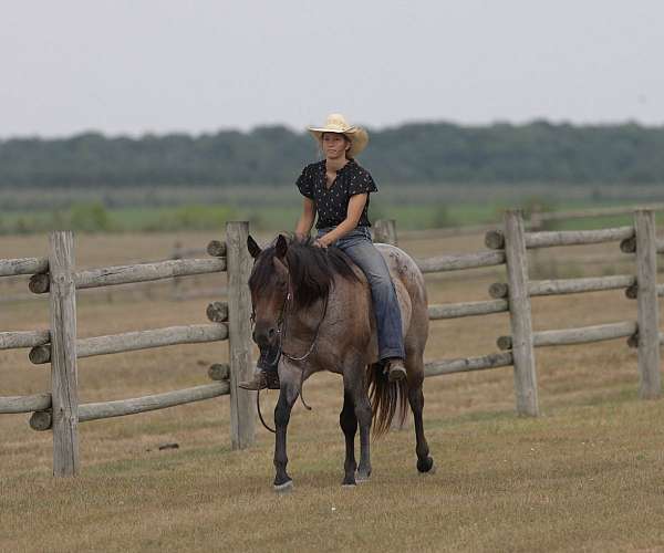 roping-quarter-horse