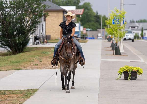 trail-riding-quarter-horse