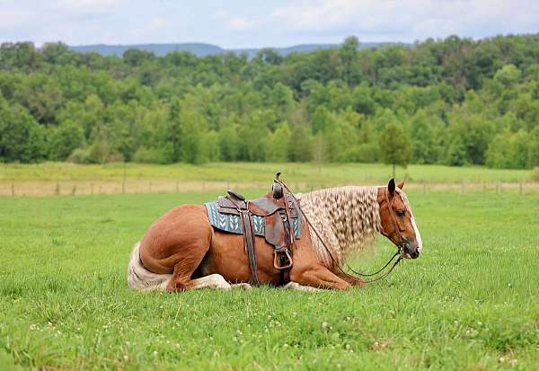 trail-riding-draft-horse
