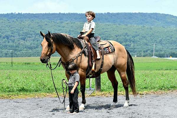 trail-riding-quarter-horse