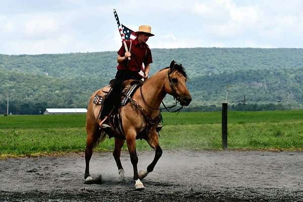 youth-quarter-horse