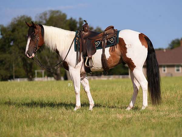 trail-riding-paint-horse