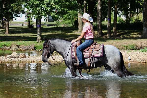 athletic-pony