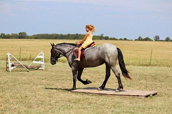 cross-pony
