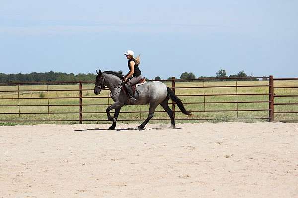 ridden-western-pony