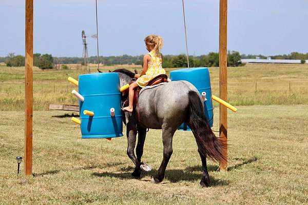 trail-riding-pony