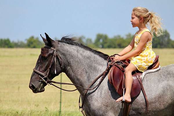 youth-pony