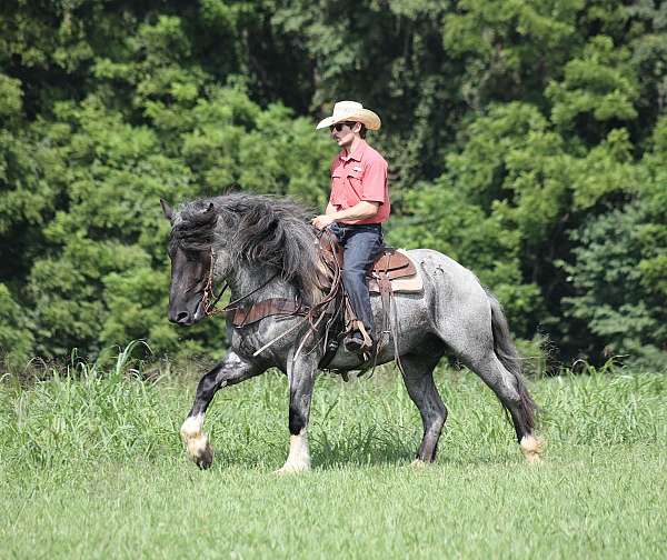beginner-draft-pony