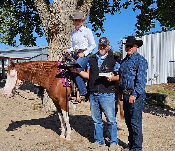 ranch-quarter-horse