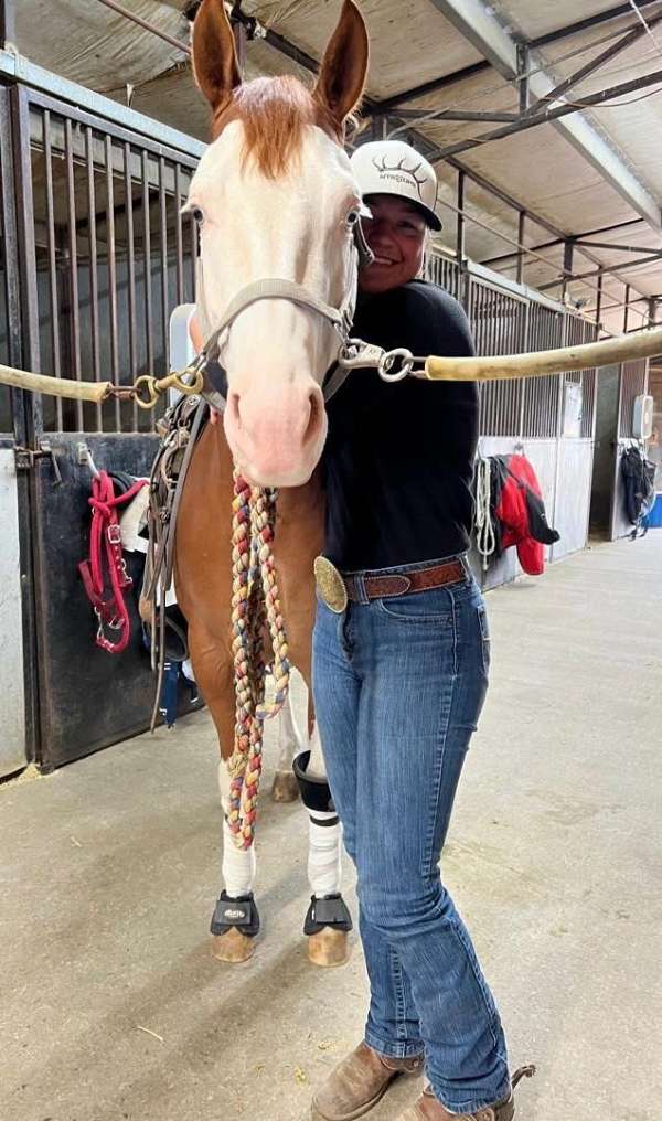 ranch-versatility-quarter-horse