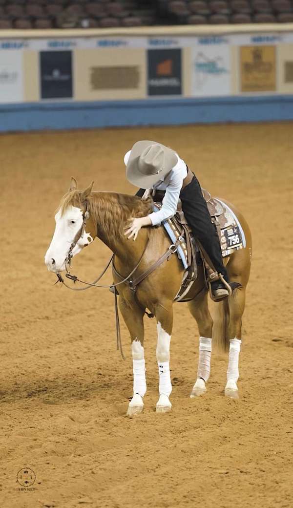 ranch-work-quarter-horse