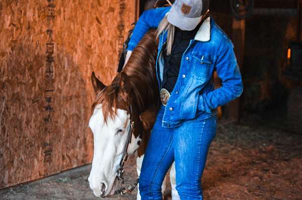 roping-quarter-horse