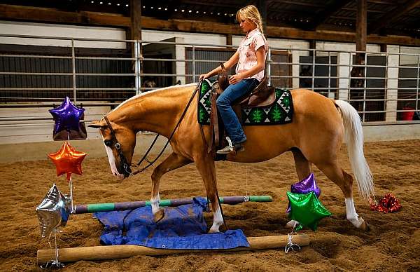 performance-quarter-horse