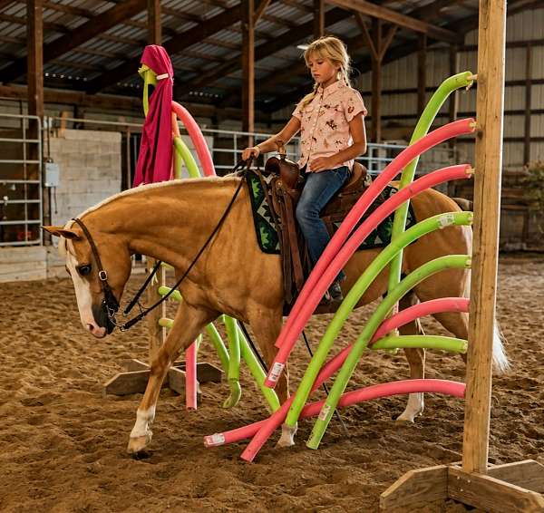 ranch-work-quarter-horse