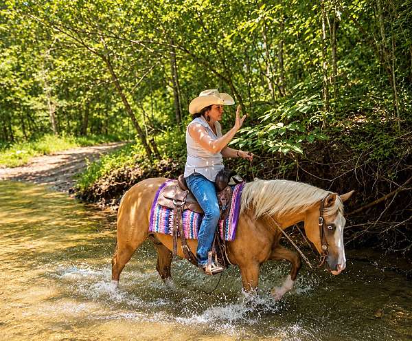 palomino-quarter-horse-gelding