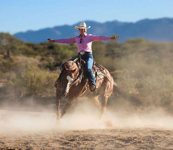 ranch-work-quarter-horse