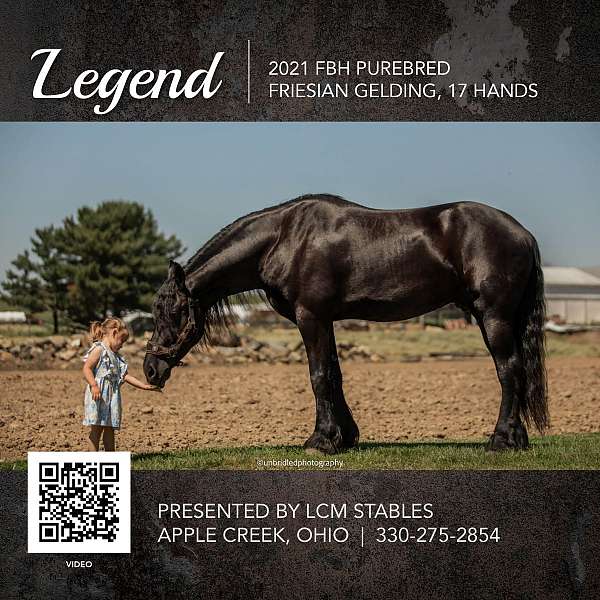 dillbert-funn-whirlwind-horse