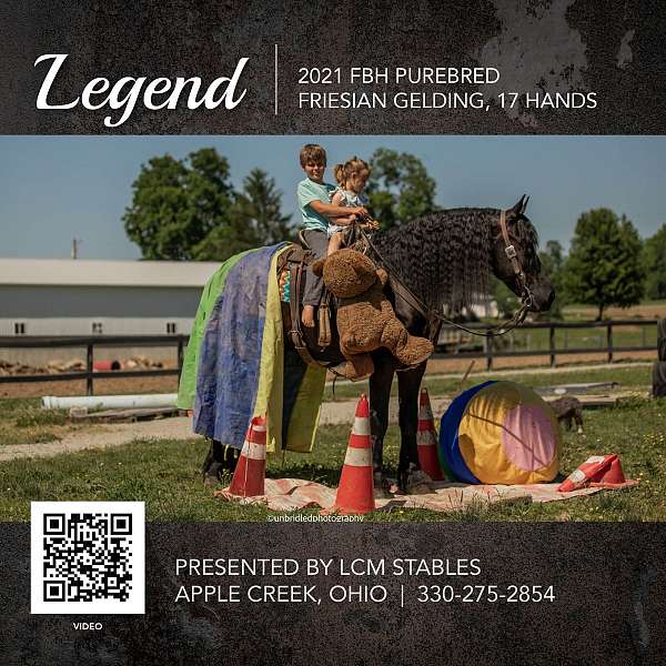 dillbert-funn-whirlwind-gelding