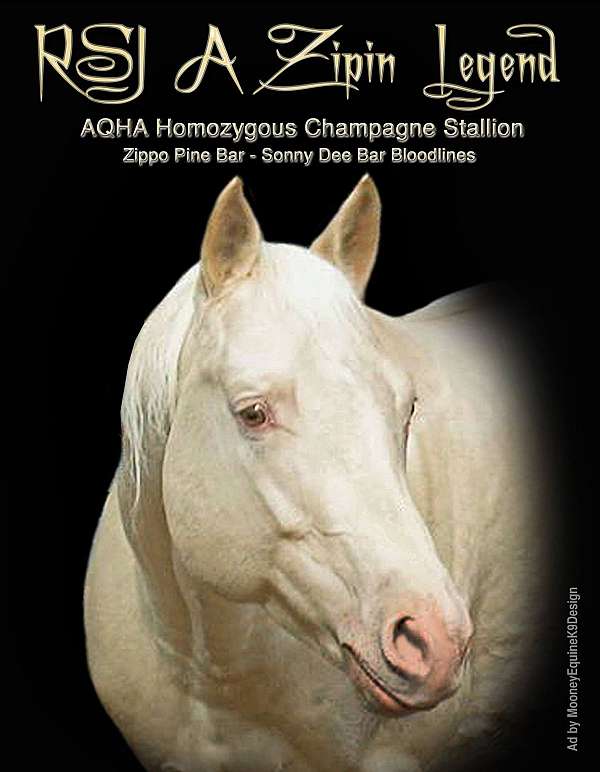 breeding-quarter-horse