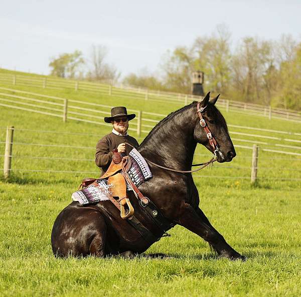 jumping-draft-horse
