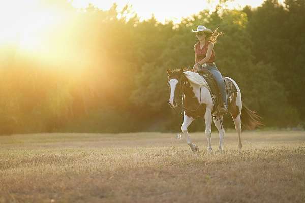 husband-safe-paint-horse