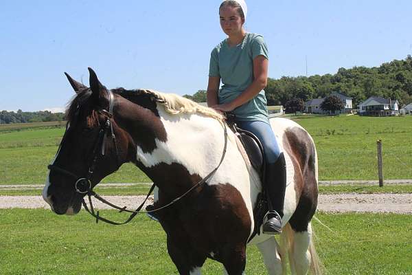 draft-cross-horse