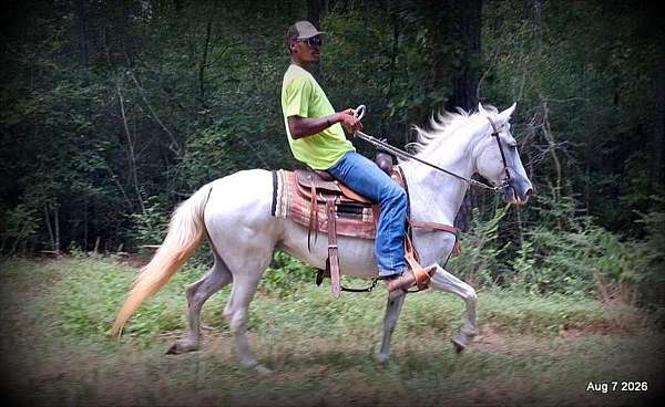 family-riding-horse
