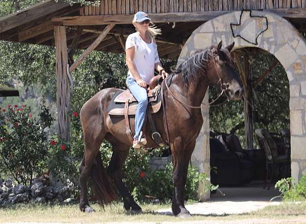 cut-percheron-horse