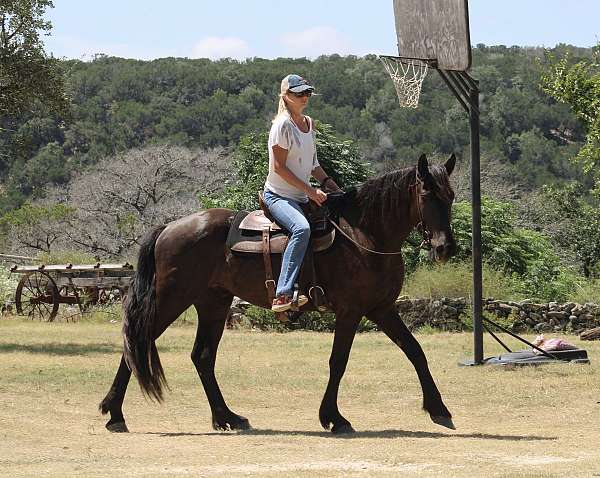 floaty-percheron-horse