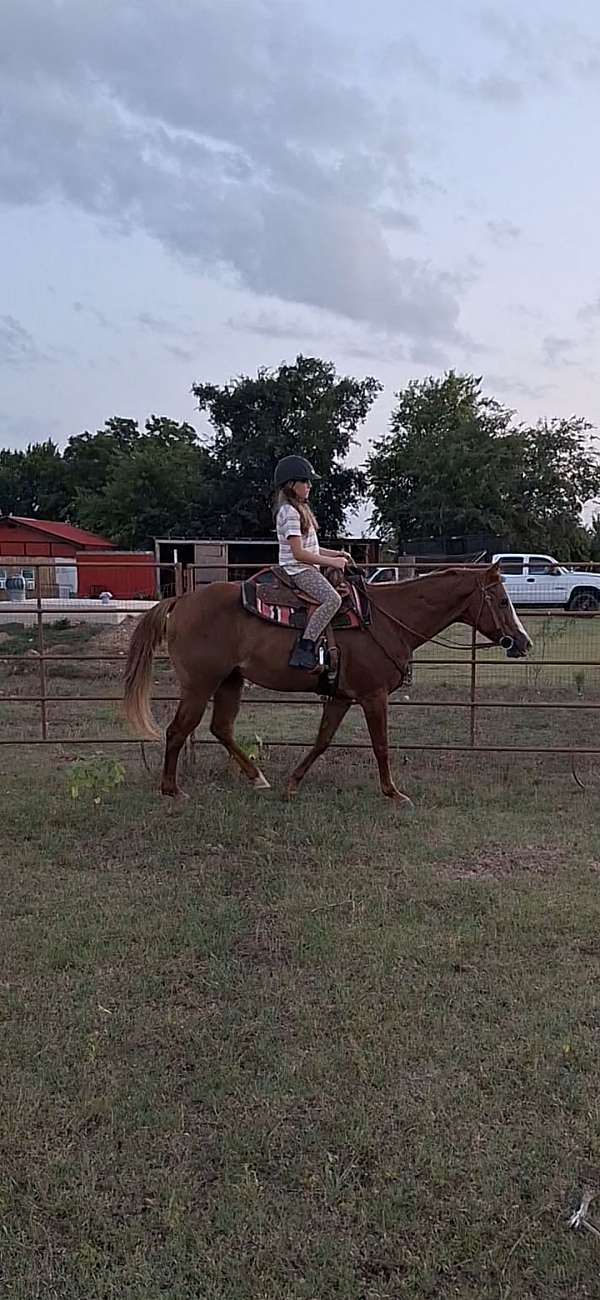 ridden-western-pony