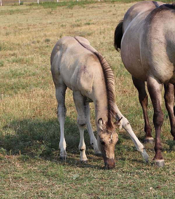 ben-mark-mare