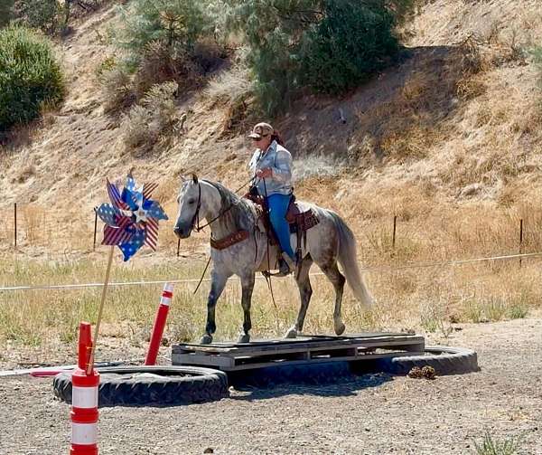 ranch-work-quarter-horse