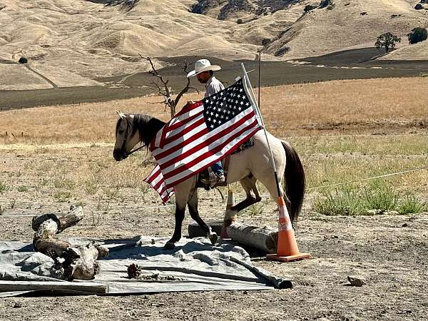 ranch-work-quarter-horse
