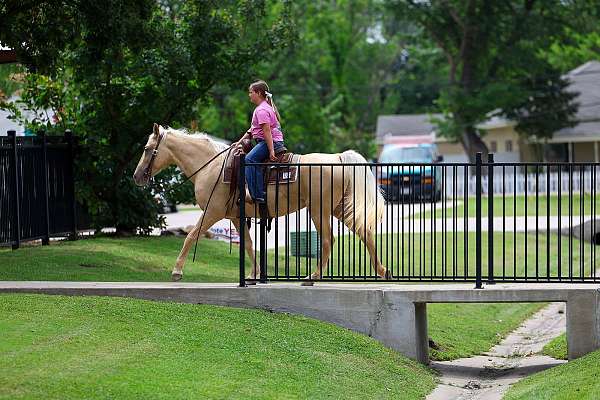 ranch-work-missouri-fox-trotter-horse