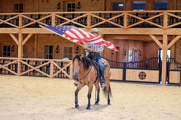 ridden-western-quarter-horse