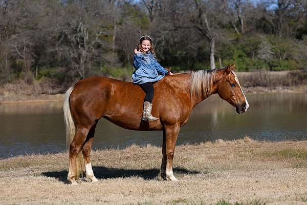 beginner-quarter-horse