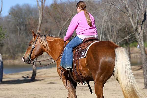 flashy-quarter-horse