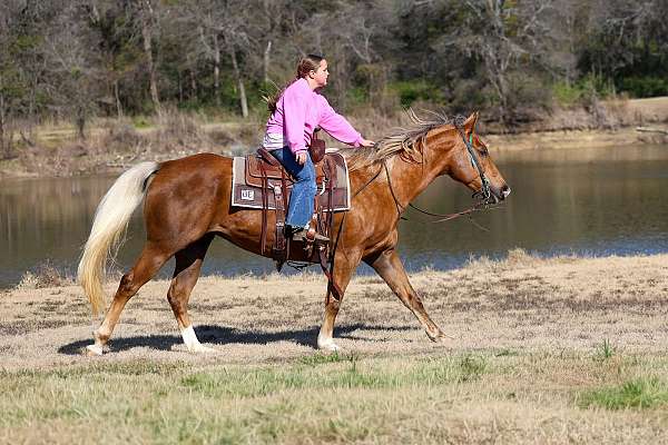 ranch-versatility-quarter-horse