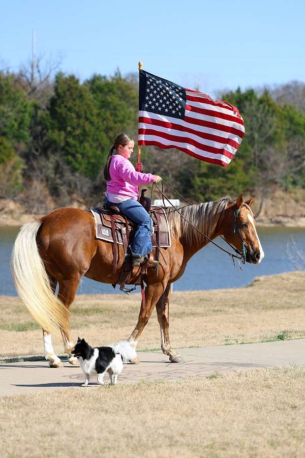 ranch-work-quarter-horse