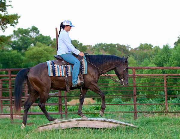 jumping-quarter-horse