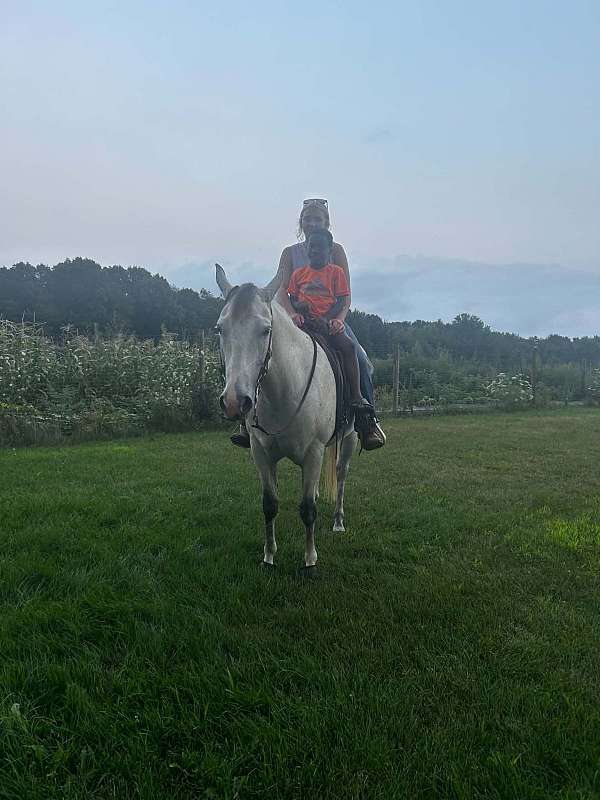 flashy-quarter-horse