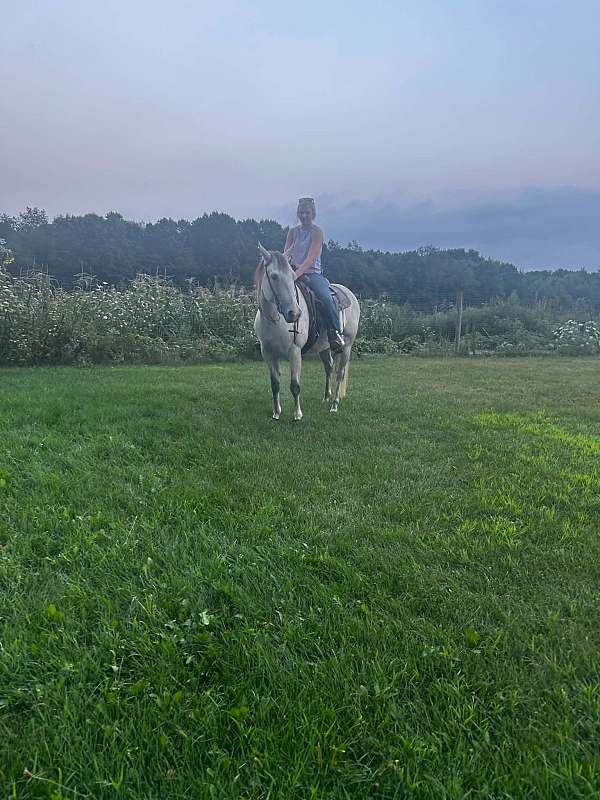 kid-safe-quarter-horse