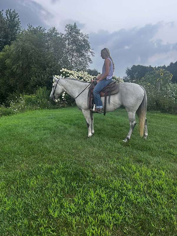 playday-quarter-horse