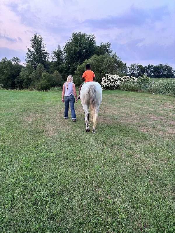 ridden-western-quarter-horse