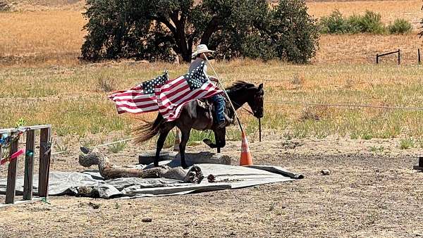 kid-safe-quarter-horse