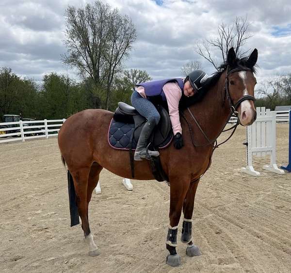 athletic-appendix-horse