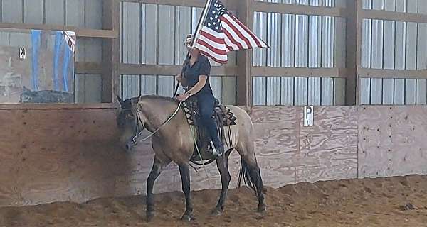 dunskin-all-around-pony